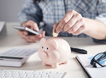 Statement Savings, piggy, piggy bank, change, savings