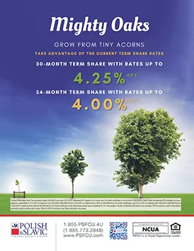 CD Promotion